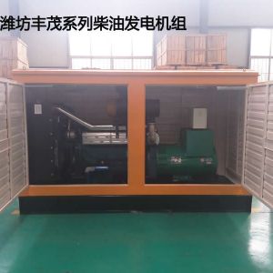 濰柴300KW防雨型柴油發(fā)電機組